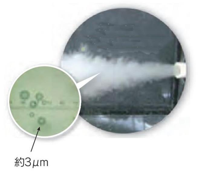 QQ瀏覽器截圖20201229163542.jpg