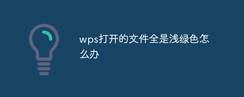wps打開的文件全是淺綠色怎么辦