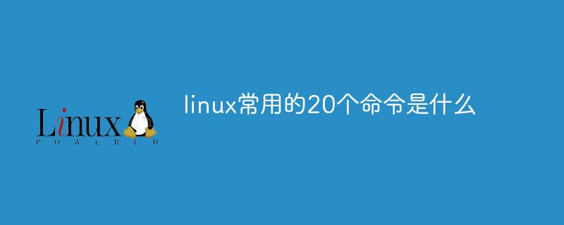 linux常用的20個命令是什么