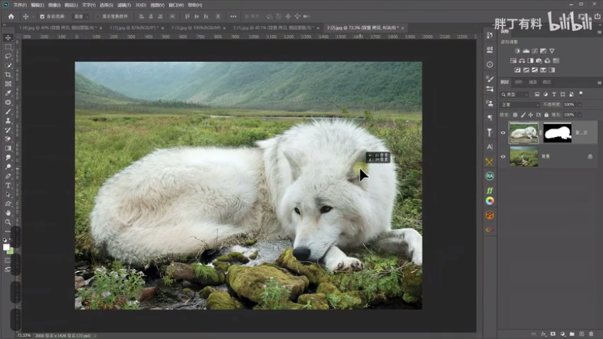 PS摳圖教程大全：超實用的PS摳圖技巧大合集