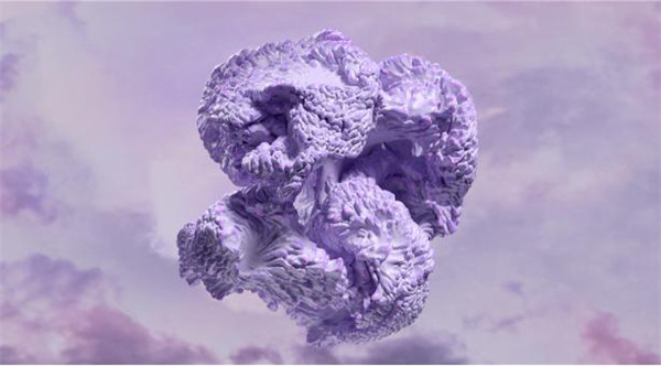 Coloro 與WGSN聯合發布2023年度色：數字薰衣草色