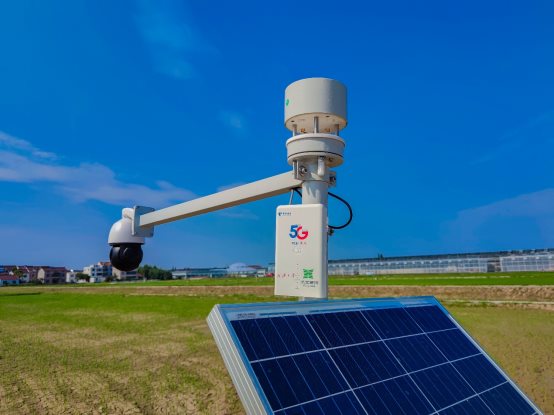 全國首個！上海電信5G助力打造全智能數字水稻種植示范區