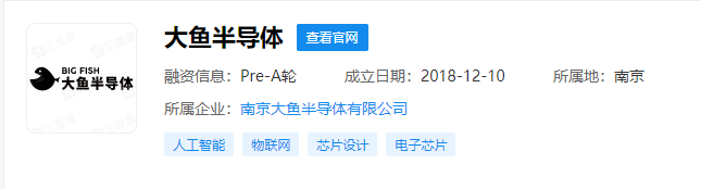 分拆于小米松果的大魚半導體，完成近億元 A 輪融資