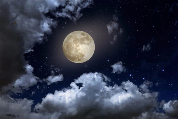 和施洛華一起賞月賞中秋!一路陪伴,不負韶華不負你!