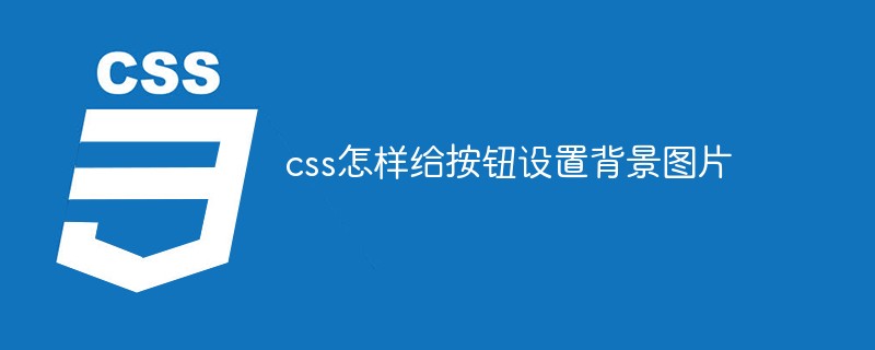 css怎樣給按鈕設(shè)置背景圖片