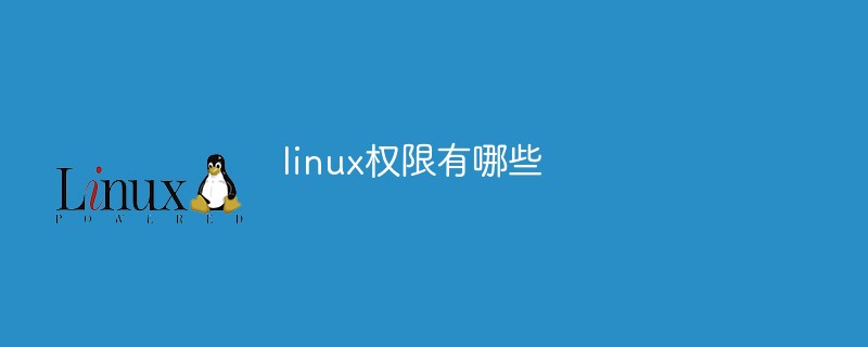 linux權(quán)限有哪些