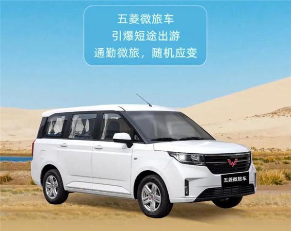 雙人床!五菱微旅車發布:堪稱“移動別墅”