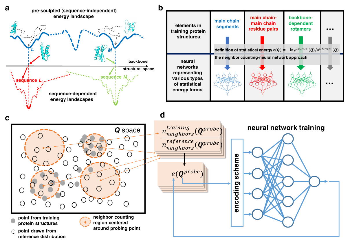 從頭設計路線,我國科學家建立蛋白質設計新方法