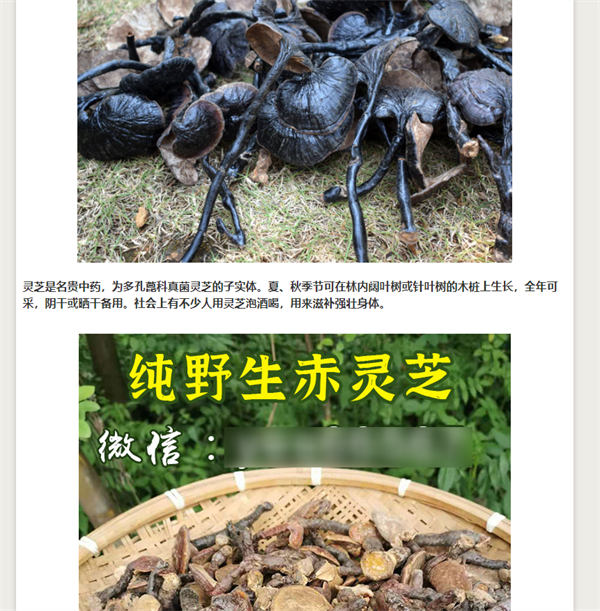 做網站,還是大有可為!