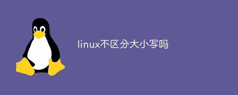 linux不區分大小寫嗎