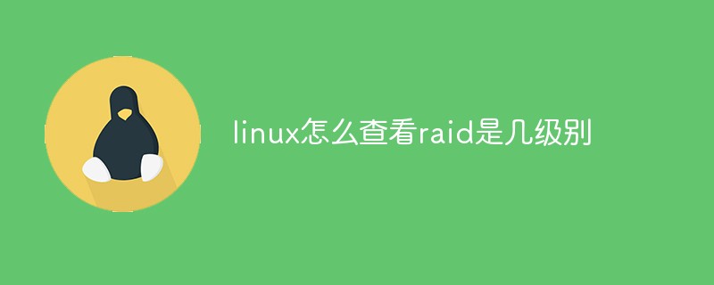 linux怎么查看raid是幾級別