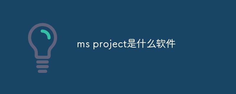 ms project是什么軟件