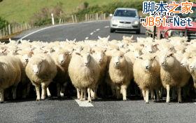 處理網頁圖片最常見的10個錯誤及解決方案