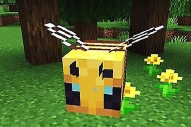 我的世界結(jié)構(gòu)方塊指令是什么 我的世界結(jié)構(gòu)方塊指令代碼復(fù)制