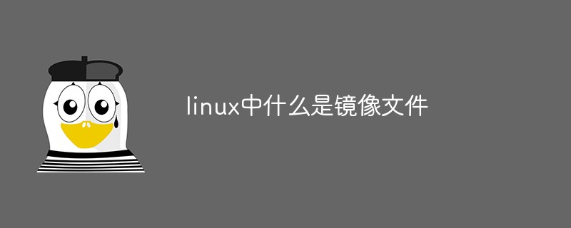 linux中什么是鏡像文件