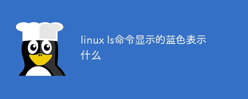 linux ls命令顯示的藍色表示什么