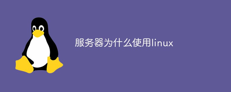 服務器為什么使用linux
