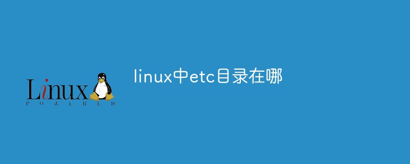 linux中etc目錄在哪