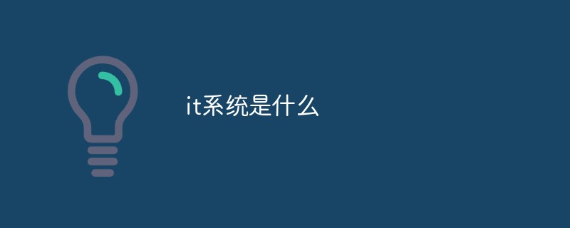 it系統是什么
