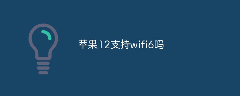 蘋果12支持wifi6嗎