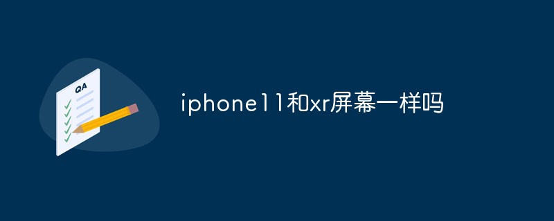 iphone11和xr屏幕一樣嗎