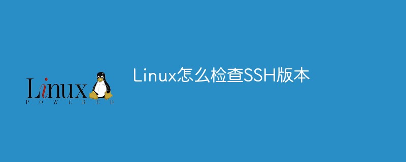 Linux怎么檢查SSH版本