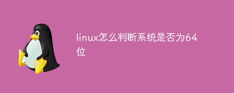 linux怎么判斷系統是否為64位