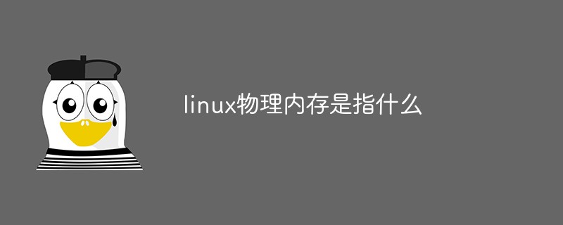 linux物理內(nèi)存是指什么