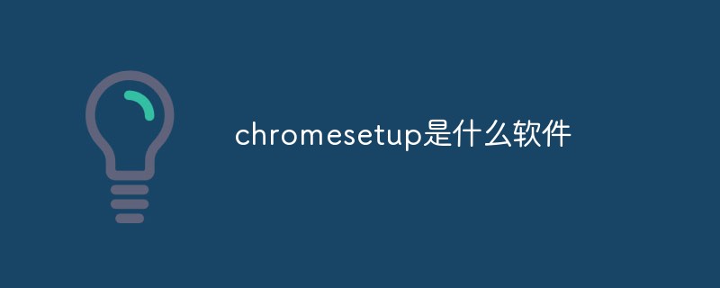 chromesetup是什么軟件