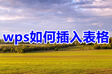 wps如何插入表格 用wps怎么制作表格