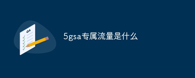 5gsa專屬流量是什么