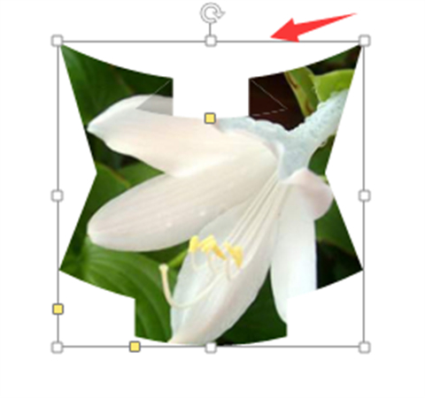 ppt圖片怎么裁剪成自己想要的形狀 ppt圖片怎么裁剪