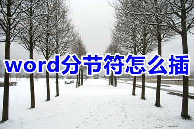 word分節(jié)符怎么插 word分節(jié)符怎么加入