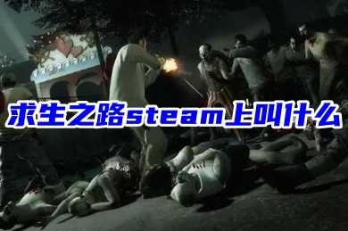 求生之路steam上叫什么 在steam上下載求生之路的方法教程