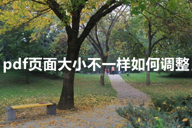 pdf頁面大小不一樣如何調(diào)整 pdf頁面大小不一樣怎么解決