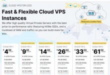 德國VPS云服務器選哪個好 提供原生IP的德國VPS廠商推薦-站長資訊網